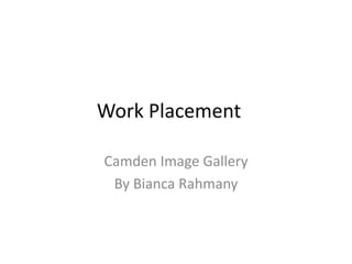 Work Placement
Camden Image Gallery
By Bianca Rahmany
 