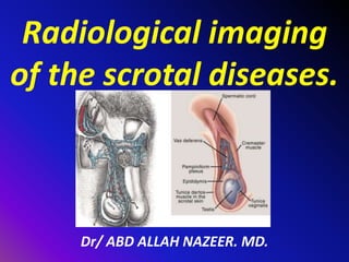 Radiological imaging
of the scrotal diseases.
Dr/ ABD ALLAH NAZEER. MD.
 