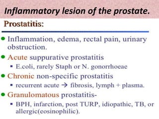 Inflammatory lesion of the prostate.
 