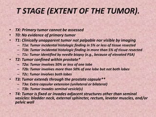 T STAGE (EXTENT OF THE TUMOR).
• TX: Primary tumor cannot be assessed
• T0: No evidence of primary tumor
• T1: Clinically unapparent tumor not palpable nor visible by imaging
– T1a: Tumor incidental histologic finding in 5% or less of tissue resected
– T1b: Tumor incidental histologic finding in more than 5% of tissue resected
– T1c: Tumor identified by needle biopsy (e.g., because of elevated PSA)
• T2: Tumor confined within prostate*
– T2a: Tumor involves 50% or less of one lobe
– T2b: Tumor involves more than 50% of one lobe but not both lobes
– T2c: Tumor involves both lobes
• T3: Tumor extends through the prostate capsule**
– T3a: Extra capsular extension (unilateral or bilateral)
– T3b: Tumor invades seminal vesicle(s)
• T4: Tumor is fixed or invades adjacent structures other than seminal
vesicles: bladder neck, external sphincter, rectum, levator muscles, and/or
pelvic wall
 