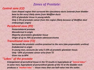 Zones of Prostate:
Central zone (CZ)
Cone shaped region that surround the ejaculatory ducts (extends from bladder
base to the veru) Likely stems from Wolffian ducts
25% of glandular tissue in young adults
Only 1-5% of prostate cancer from this region (likely because of Wolffian duct
embryologic origin)
Peripheral zone (PZ)
Posteriolateral prostate
Mesodermal in origin
Majority of prostatic glandular tissue
Origin of up to 70% of prostate adenocarcinoma
Transitional zone (TZ)
Surrounds the prostatic urethra proximal to the veru (aka preprostatic urethra)
Endodermal in origin
In young men, accounts for only 5-10% of prostatic glandular tissue.
Only ~20% of prostate cancer arise from TZ
Gives rise to BPH
"Lobes" of the prostate
Enlargement of periuthral tissue in the TZ results in hyperplasia of "lateral lobes“
In some men, hyperplasia of periurethral glands of the TZ at the bladder neck
produces a "median lobe" -- tissue mass that can ball-valve into the outlet .
 