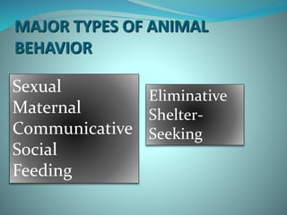 animal behavior | PPTX