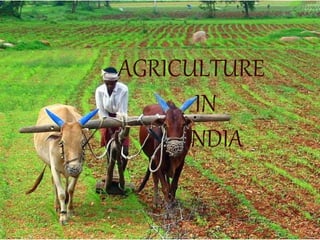 AGRICULTURE 
IN 
INDIA 
 