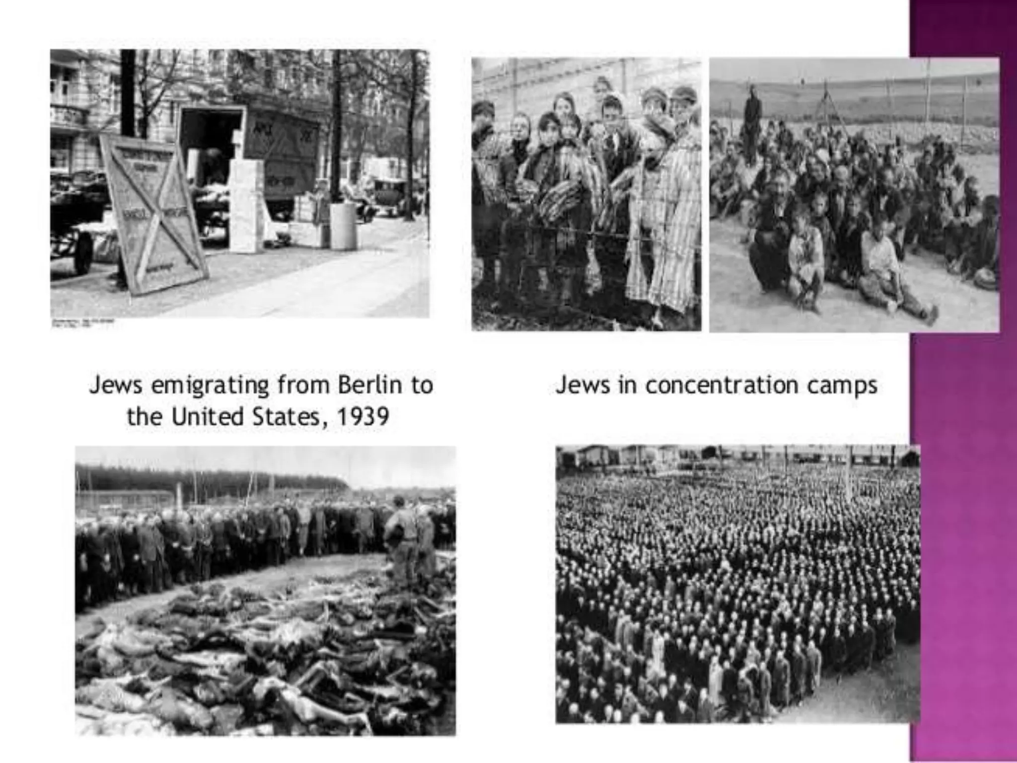 nazism and the rise of hitler