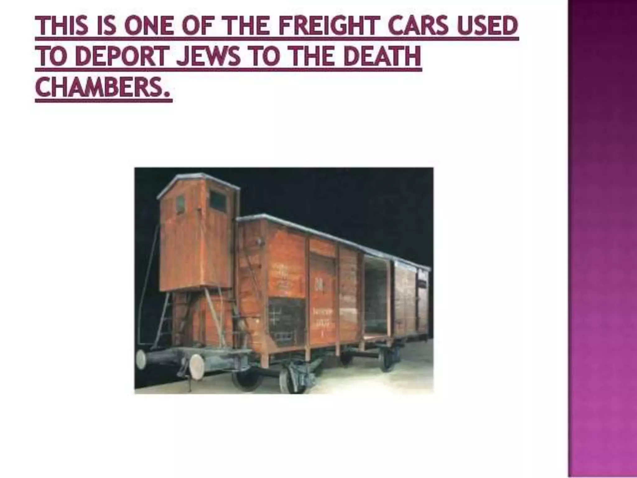 nazism and the rise of hitler