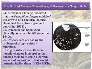 The Birth of Modern Chemotherapy: Dreams of a "Magic Bullet 
24. Alexander Fleming observed 
that the Penicillium fungus inhibited 
the growth of a bacterial culture. 
He named the active ingredient 
penicillin (1928) . 
25. Penicillin has been used 
clinically as an antibioti;; since the 
1940s. 
26. Researchers arc facing the 
problem of drug-resistant 
microbes. 
- Drug resistance results from 
genetic changes in microbes that 
enables them to tolerate a certain 
amount of an antibiotic that would 
normally inhibit them , VRE- MRSA. 
 
