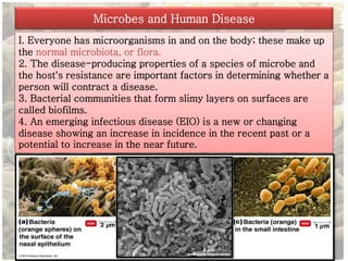 Microbes and Human Disease 
I. Everyone has microorganisms in and on the body; these make up 
the normal microbiota, or flora. 
2. The disease-producing properties of a species of microbe and 
the host's resistance are important factors in determining whether a 
person will contract a disease. 
3. Bacterial communities that form slimy layers on surfaces are 
called biofilms. 
4. An emerging infectious disease (EIO) is a new or changing 
disease showing an increase in incidence in the recent past or a 
potential to increase in the near future. 
 
