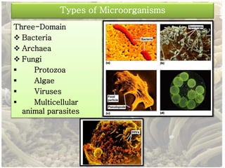 Types of Microorganisms 
Three-Domain 
 Bacteria 
 Archaea 
 Fungi 
 Protozoa 
 Algae 
 Viruses 
 Multicellular 
animal parasites 
 