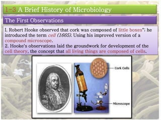 1-3 A Brief History of Microbiology 
The First Observations 
I. Robert Hooke observed that cork was composed of little boxes"; he 
introduced the term cell (1665). Using his improved version of a 
compound microscope. 
2. Hooke's observations laid the groundwork for development of the 
cell theory, the concept that all living things are composed of cells. 
 