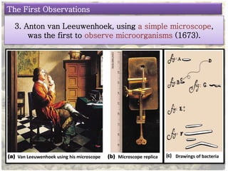 The First Observations 
3. Anton van Leeuwenhoek, using a simple microscope, 
was the first to observe microorganisms (1673). 
Van Leeuwenhoek using his microscope Microscope replica Drawings of bacteria 
 