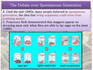 The Debate over Spontaneous Generation 
4. Until the mid-1880s, many people believed in spontaneous 
generation, the idea that living organisms could arise from 
nonliving matter. 
5. Francesco Redi demonstrated that maggots appear on 
decaying meat only when flies are able to lay eggs on the meat 
(1668). 
 