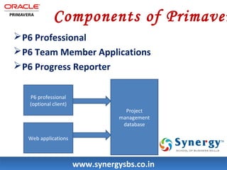 Components of Primavera 
P6 Professional 
P6 Team Member Applications 
P6 Progress Reporter 
Project 
management 
database 
wwwwww..ssyynneerrggyyssbbss..ccoo..iinn 
P6 professional 
(optional client) 
Web applications 
 