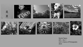 Rachel Tejero 
DP1 – Per. 7 
Unit 1: Basics of Photography 
2014 
 