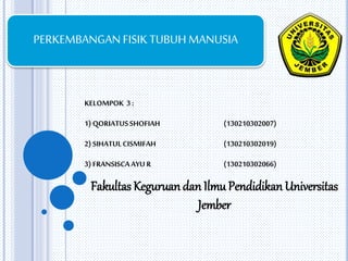 PERKEMBANGAN FISIK TUBUH MANUSIA 
KELOMPOK 3 : 
1) QORIATUS SHOFIAH (130210302007) 
2) SIHATUL CISMIFAH (130210302019) 
3) FRANSISCA AYU R (130210302066) 
Fakultas Keguruan dan Ilmu Pendidikan Universitas 
Jember 
 