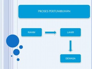PROSES PERTUMBUHAN 
RAHIM LAHIR 
DEWASA 
 