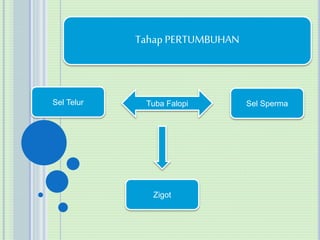 Tahap PERTUMBUHAN 
Sel Telur Tuba Falopi Sel Sperma 
Zigot 
 