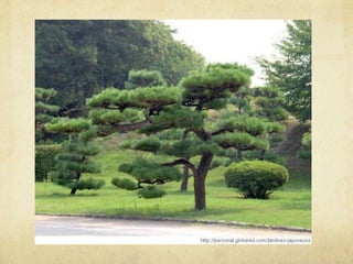 Árboles para dibujar