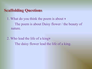 1. What do you think the poem is about ? 
The poem is about Daisy flower / the beauty of 
nature. 
2. Who lead the life of a king? 
The daisy flower lead the life of a king. 
 