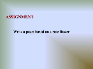 Write a poem based on a rose flower 
 
