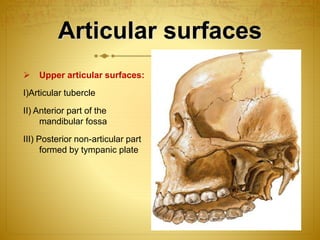 Articular surfaces 
 Upper articular surfaces: 
I)Articular tubercle 
II) Anterior part of the 
mandibular fossa 
III) Posterior non-articular part 
formed by tympanic plate 
 