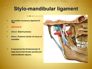 Stylo-mandibular ligament 
 An another accessory ligament of 
TMJ 
 Attachment: 
 Above: Styloid process 
 Below: Posterior border of ramus of 
mandible 
 It represents the thickened part of 
deep fascia that divides parotid and 
submandibular regions. 
 