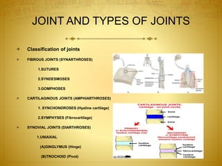 JOINT AND TYPES OF JOINTS 
 Classification of joints 
 FIBROUS JOINTS (SYNARTHROSES) 
1.SUTURES 
2.SYNDESMOSES 
3.GOMPHOSES 
 CARTILAGINOUS JOINTS (AMPHIARTHROSES) 
1. SYNCHONDROSES (Hyaline cartilage) 
2.SYMPHYSES (Fibrocartilage) 
 SYNOVIAL JOINTS (DIARTHROSES) 
1.UNIAXIAL 
(A)GINGLYMUS (Hinge) 
(B)TROCHOID (Pivot) 
 