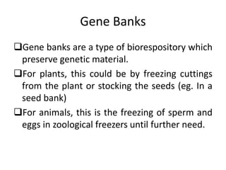 biodiversity | PPTX