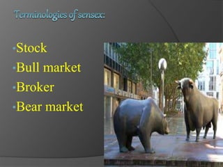 •Stock 
•Bull market 
•Broker 
•Bear market 
 