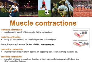 • no change in length of the muscle that is contracting 
• using your muscles to successfully push or pull an object. 
Isotonic contractions are further divided into two types: 
• muscle decreases in length against an opposing load, such as lifting a weight up. 
• muscle increases in length as it resists a load, such as lowering a weight down in a 
slow, controlled fashion. 
 