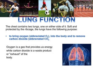 The chest contains two lungs, one on either side of it. Soft and 
protected by the ribcage, the lungs have the following purpose: 
Oxygen is a gas that provides us energy 
while carbon dioxide is a waste product 
or "exhaust" of the 
body. 
 