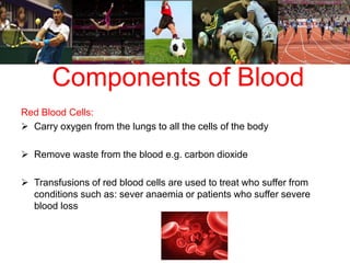 Components of Blood 
Red Blood Cells: 
 Carry oxygen from the lungs to all the cells of the body 
 Remove waste from the blood e.g. carbon dioxide 
 Transfusions of red blood cells are used to treat who suffer from 
conditions such as: sever anaemia or patients who suffer severe 
blood loss 
 