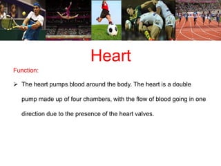Heart 
Function: 
 The heart pumps blood around the body. The heart is a double 
pump made up of four chambers, with the flow of blood going in one 
direction due to the presence of the heart valves. 
 