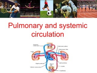 Pulmonary and systemic 
circulation 
 
