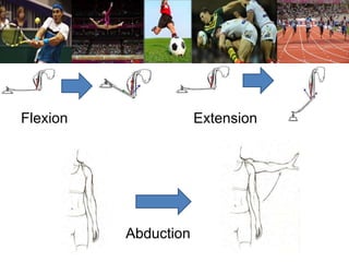Flexion Extension 
Abduction 
 