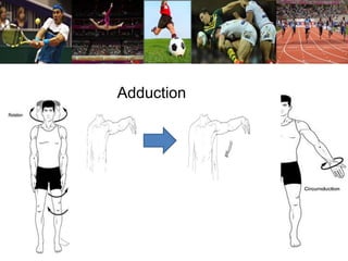 Adduction 
 
