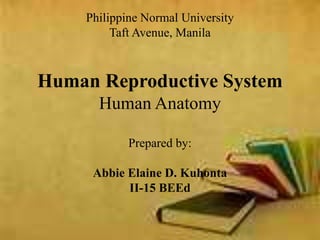 Philippine Normal University 
Taft Avenue, Manila 
Human Reproductive System 
Human Anatomy 
Prepared by: 
Abbie Elaine D. Kuhonta 
II-15 BEEd 
 