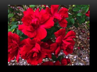 Best photos so far 06/10/14