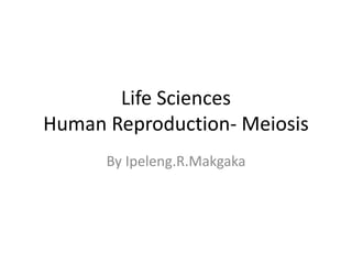 Life Sciences 
Human Reproduction- Meiosis 
By Ipeleng.R.Makgaka 
 