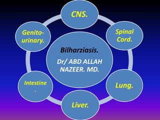 CNS. 
Bilharziasis. 
Dr/ ABD ALLAH 
NAZEER. MD. 
Spinal 
Cord. 
Lung. 
Liver. 
Genito-urinary. 
Intestine 
. 
 