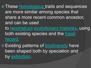  These homologous traits and sequences
are more similar among species that
share a more recent common ancestor,
and can be used
to reconstruct evolutionary histories, using
both existing species and the fossil
record.
 Existing patterns of biodiversity have
been shaped both by speciation and
by extinction.
 