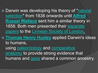  Darwin was developing his theory of "natural
selection" from 1838 onwards until Alfred
Russel Wallace sent him a similar theory in
1858. Both men presented their separate
papers to the Linnean Society of London.
 Thomas Henry Huxley applied Darwin's ideas
to humans,
using paleontology and comparative
anatomy to provide strong evidence that
humans and apes shared a common ancestry.
 