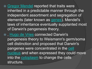  Gregor Mendel reported that traits were
inherited in a predictable manner through the
independent assortment and segregation of
elements (later known as genes). Mendel's
laws of inheritance eventually supplanted most
of Darwin's pangenesis theory.
 . Hugo de Vries connected Darwin's
pangenesis theory to Weismann's germ/soma
cell distinction and proposed that Darwin's
pangenes were concentrated in the cell
nucleus and when expressed they could move
into the cytoplasm to change the cells
structure.
 