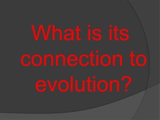 What is its
connection to
evolution?
 
