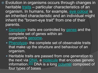  Evolution in organisms occurs through changes in
heritable traits – particular characteristics of an
organism. In humans, for example, eye colour is
an inherited characteristic and an individual might
inherit the "brown-eye trait" from one of their
parents.
 Genotype- traits are controlled by genes and the
complete set of genes within an
organism's genome.
 Phenotype- the complete set of observable traits
that make up the structure and behaviour of an
organism.
 Heritable traits are passed from one generation to
the next via DNA, a molecule that encodes genetic
information.[53] DNA is a long polymer composed of
four types of bases
 