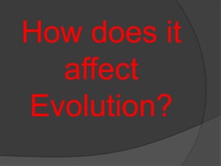 How does it
affect
Evolution?
 