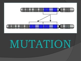 MUTATION
 