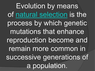 Evolution by means
of natural selection is the
process by which genetic
mutations that enhance
reproduction become and
remain more common in
successive generations of
a population.
 