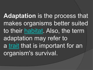 Adaptation is the process that
makes organisms better suited
to their habitat. Also, the term
adaptation may refer to
a trait that is important for an
organism's survival.
 