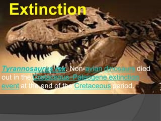 Extinction
Tyrannosaurus rex. Non-avian dinosaurs died
out in the Cretaceous–Paleogene extinction
event at the end of the Cretaceous period.
 