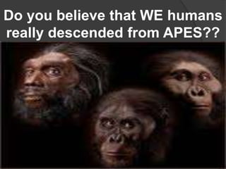 Do you believe that WE humans
really descended from APES??
 